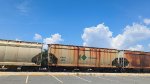 CNPX 4475